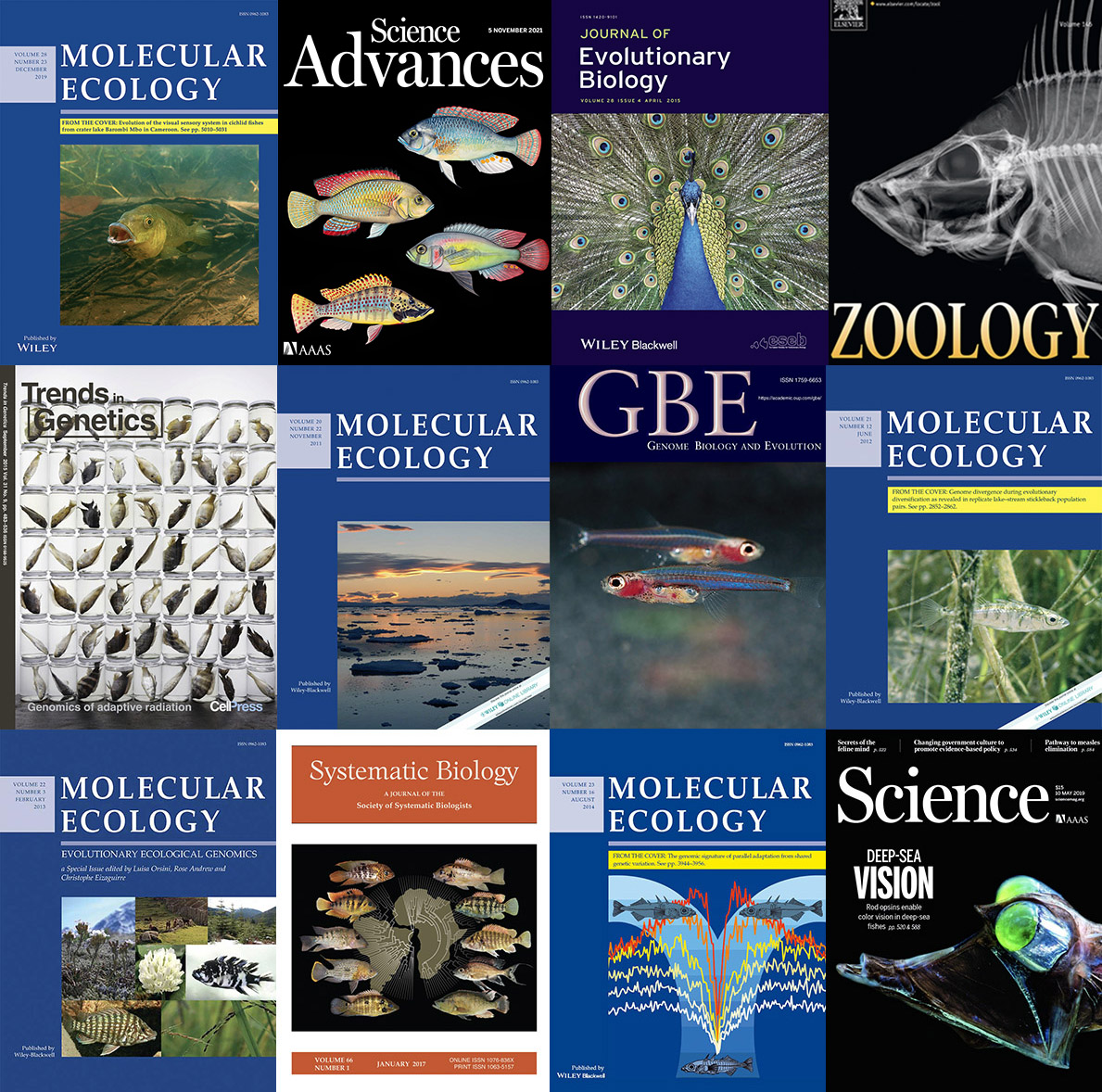 Recent Publications